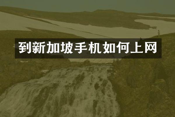到新加坡手机如何上网