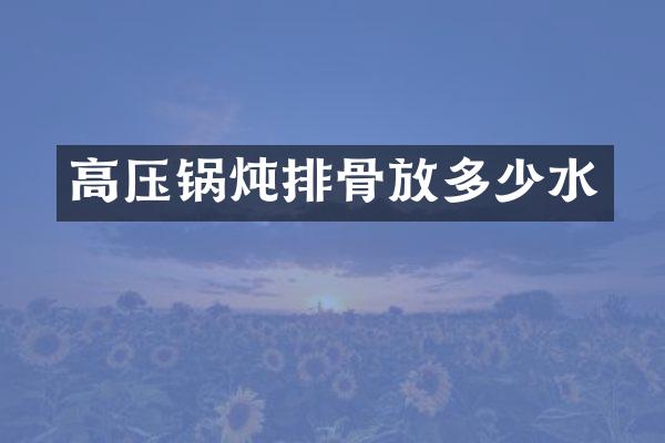 高压锅炖排骨放多少水