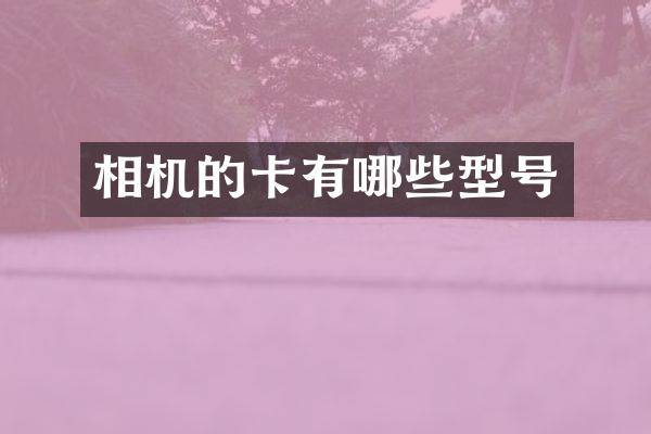 相机的卡有哪些型号