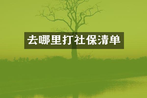 去哪里打社保清单