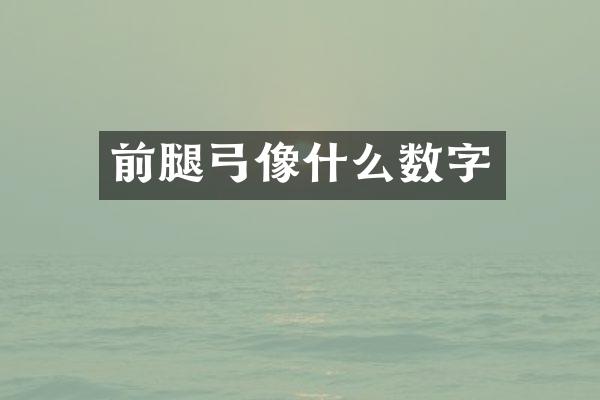 前腿弓像什么数字