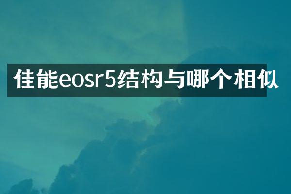 佳能eosr5结构与哪个相似