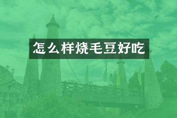 怎么样烧毛豆好吃