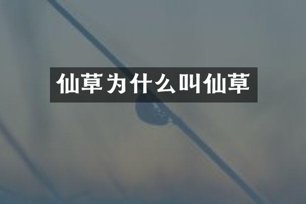 仙草为什么叫仙草