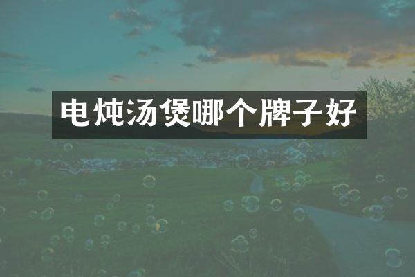 电炖汤煲哪个牌子好