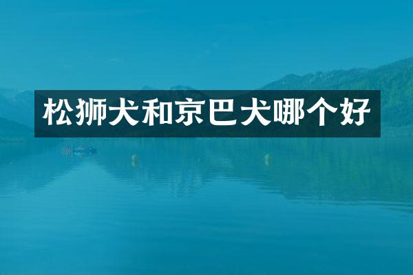 松狮犬和京巴犬哪个好