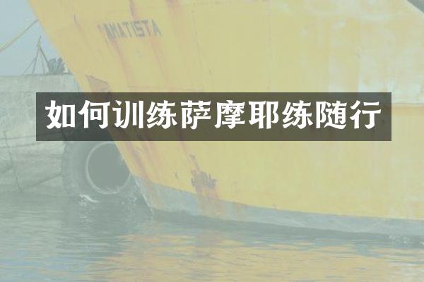 如何训练萨摩耶练随行