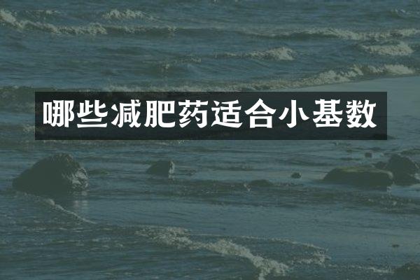 哪些减肥药适合小基数