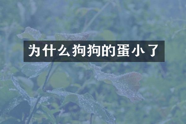 为什么狗狗的蛋小了