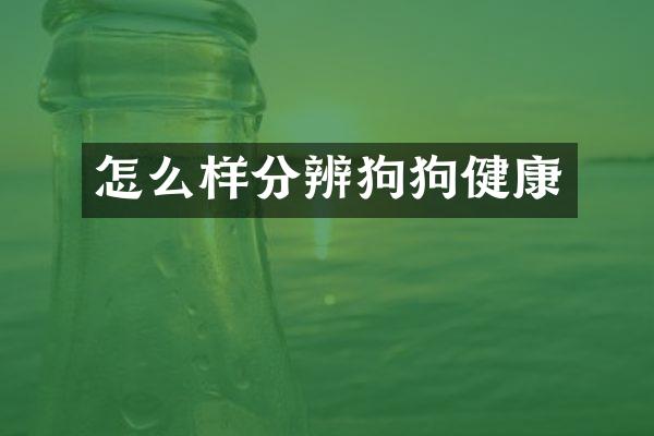 怎么样分辨狗狗健康