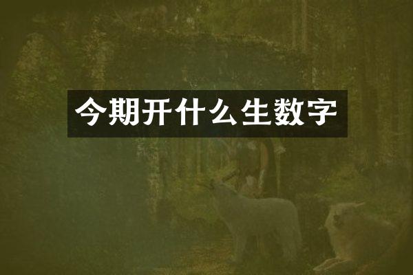 今期开什么生数字