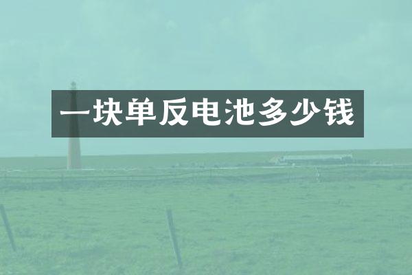 一块单反电池多少钱