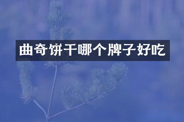 曲奇饼干哪个牌子好吃