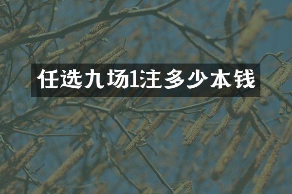任选九场1注多少本钱