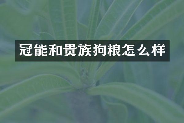 冠能和贵族狗粮怎么样