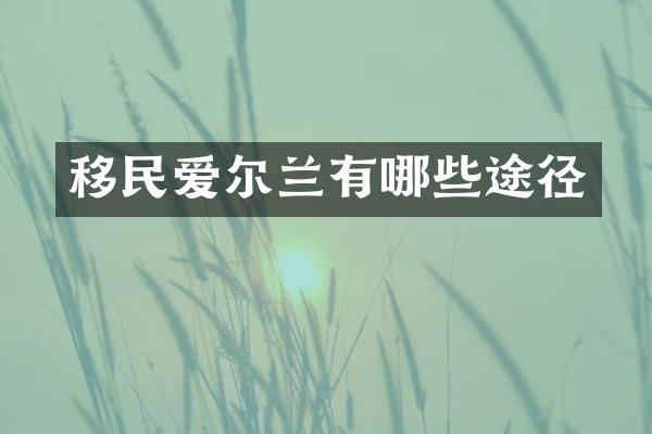 移民爱尔兰有哪些途径