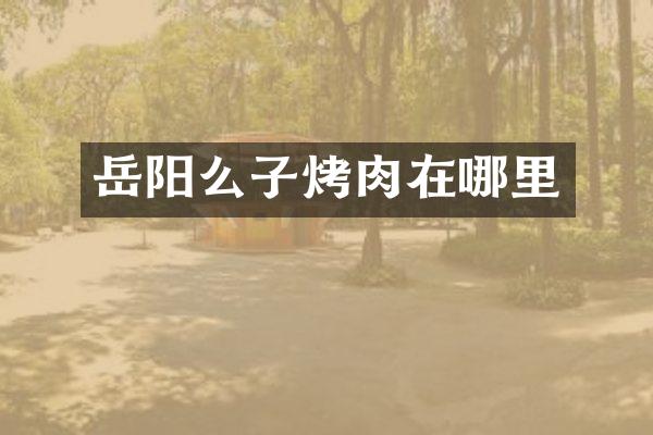 岳阳么子烤肉在哪里