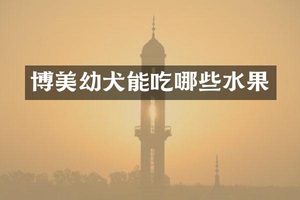 博美幼犬能吃哪些水果
