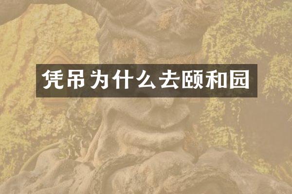 凭吊为什么去颐和园