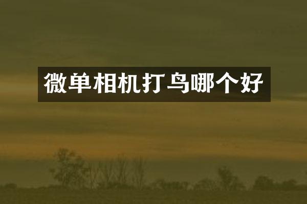 微单相机打鸟哪个好