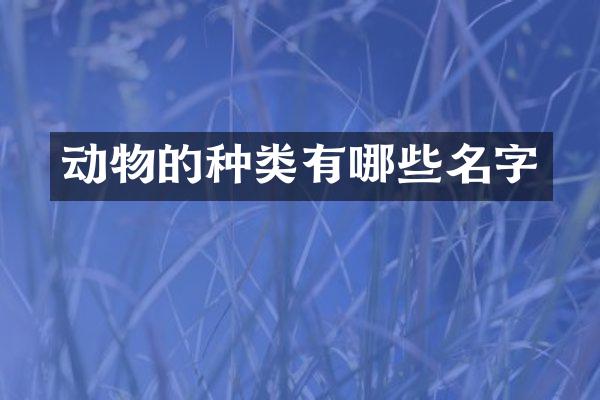 动物的种类有哪些名字