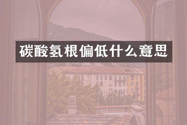 碳酸氢根偏低什么意思