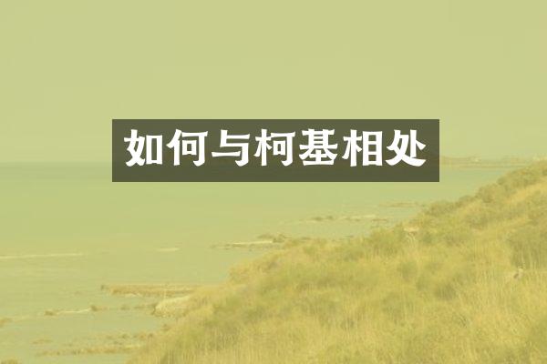 如何与柯基相处
