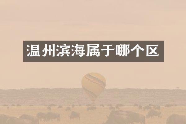温州滨海属于哪个区