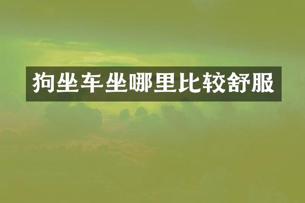 狗坐车坐哪里比较舒服