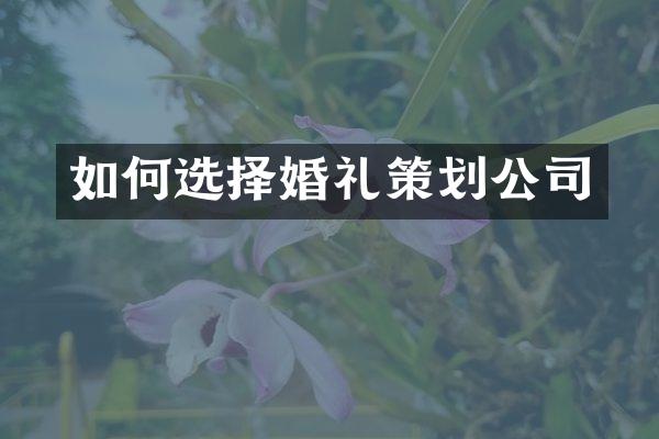 如何选择婚礼策划公司