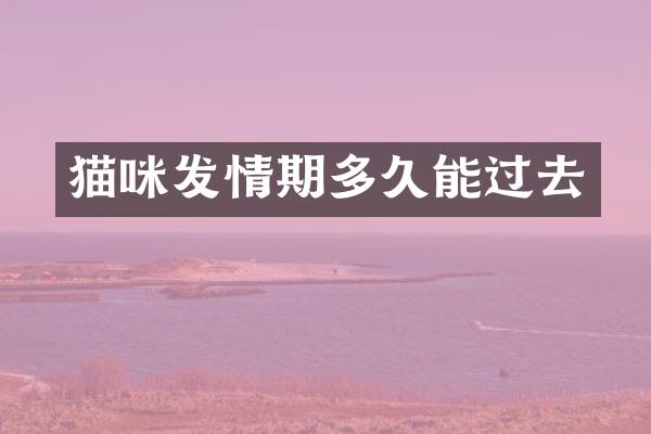 猫咪发情期多久能过去
