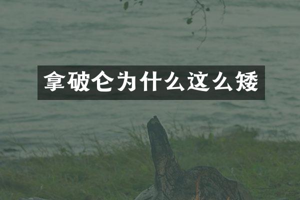 拿破仑为什么这么矮