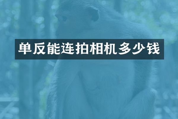 单反能连拍相机多少钱