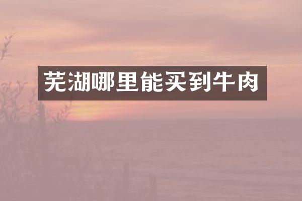 芜湖哪里能买到牛肉