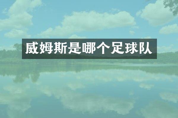 威姆斯是哪个足球队