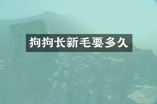 狗狗长新毛要多久