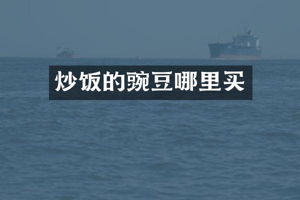 炒饭的豌豆哪里买