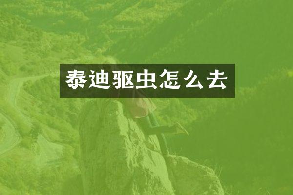泰迪驱虫怎么去
