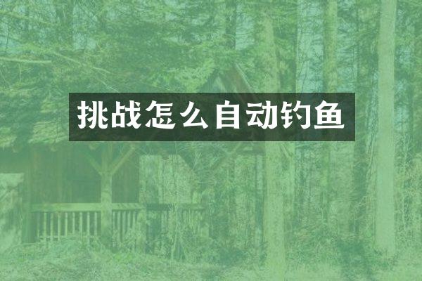 挑战怎么自动钓鱼