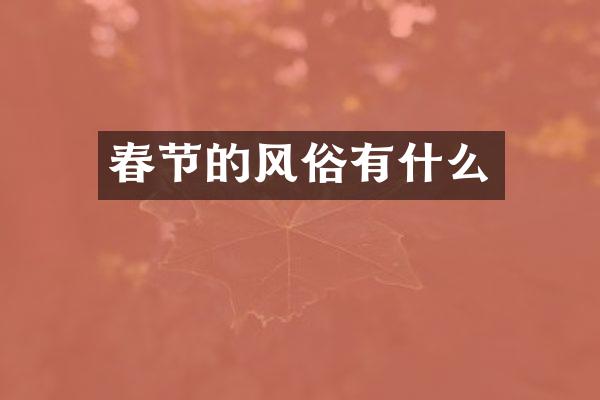 春节的风俗有什么