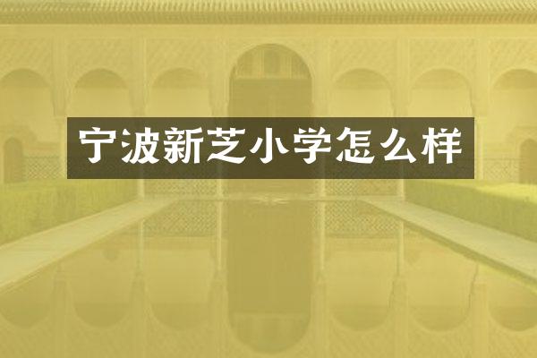 宁波新芝小学怎么样