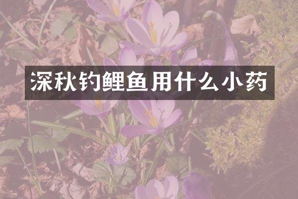 深秋钓鲤鱼用什么小药