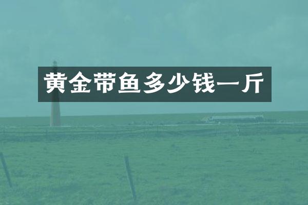 黄金带鱼多少钱一斤