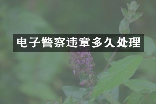 电子警察违章多久处理