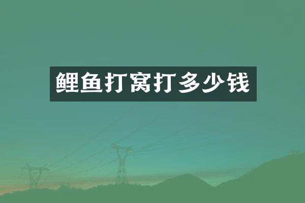 鲤鱼打窝打多少钱