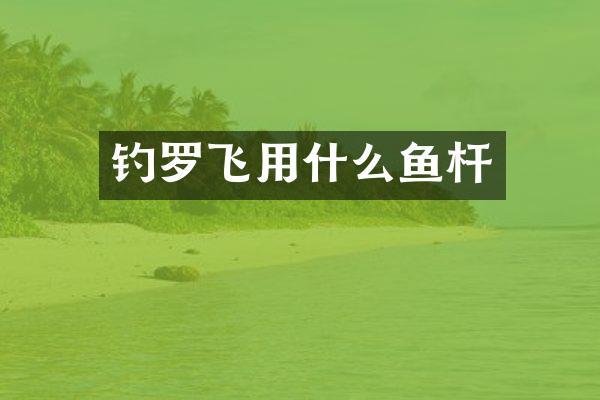 钓罗飞用什么鱼杆