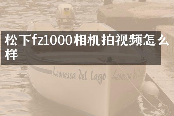 松下fz1000相机拍视频怎么样
