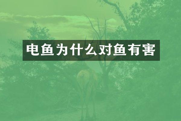 电鱼为什么对鱼有害