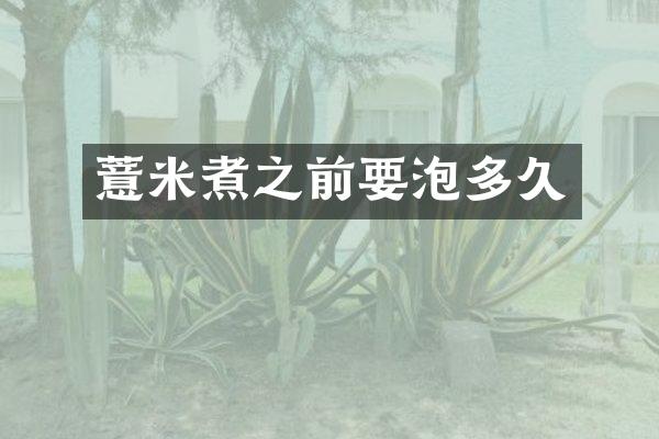 薏米煮之前要泡多久