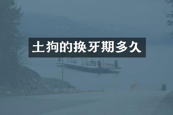 土狗的换牙期多久